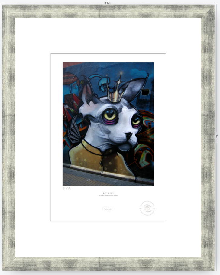 Rey SFYNX - 30 x 44 cm