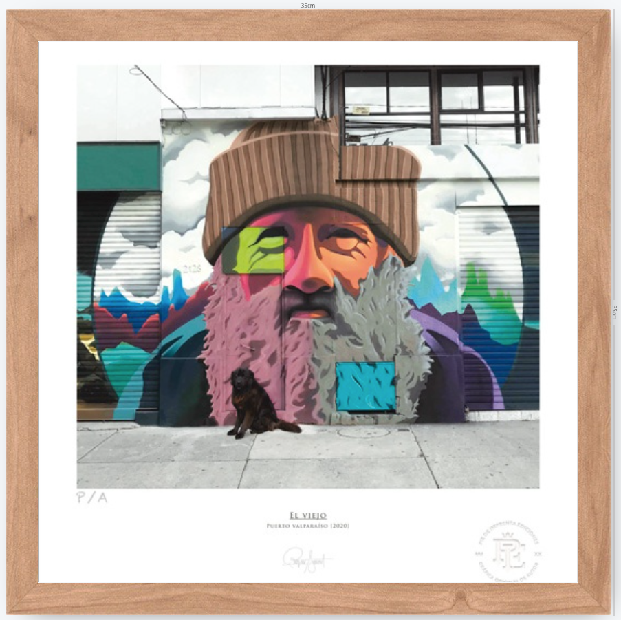 El Viejo - 33 x 35 cm