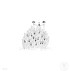 Plantas - 33 x 33 cm