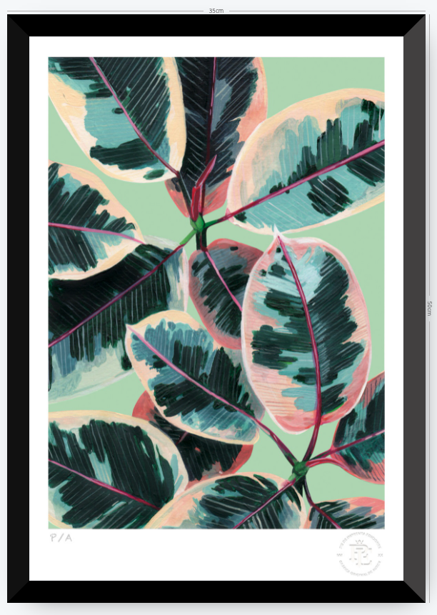 Gomero - 33 x 48 cm