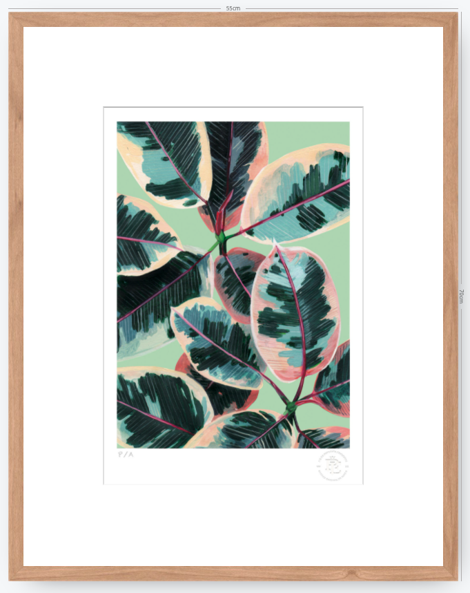 Gomero - 33 x 48 cm