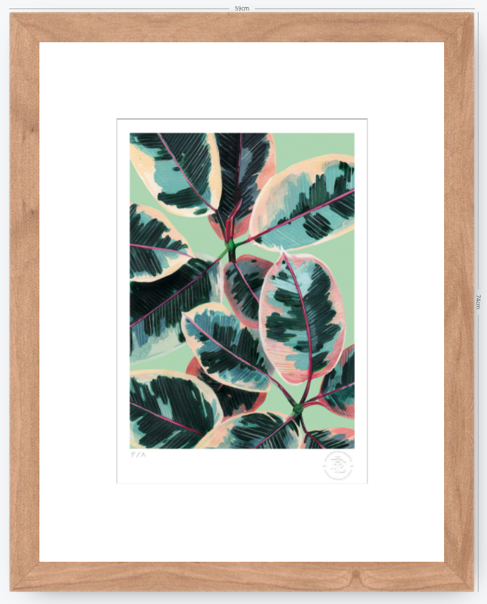 Gomero - 33 x 48 cm