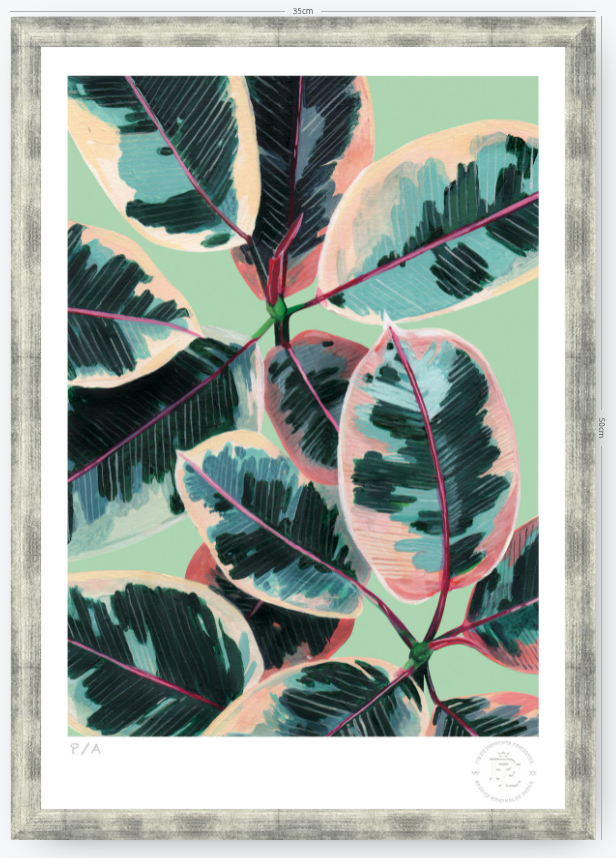 Gomero - 33 x 48 cm