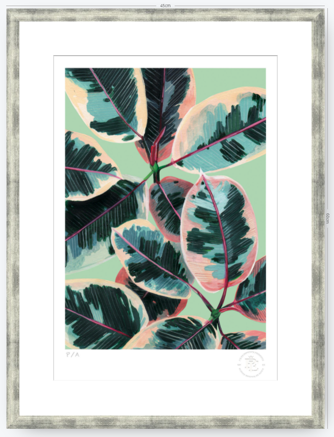 Gomero - 33 x 48 cm