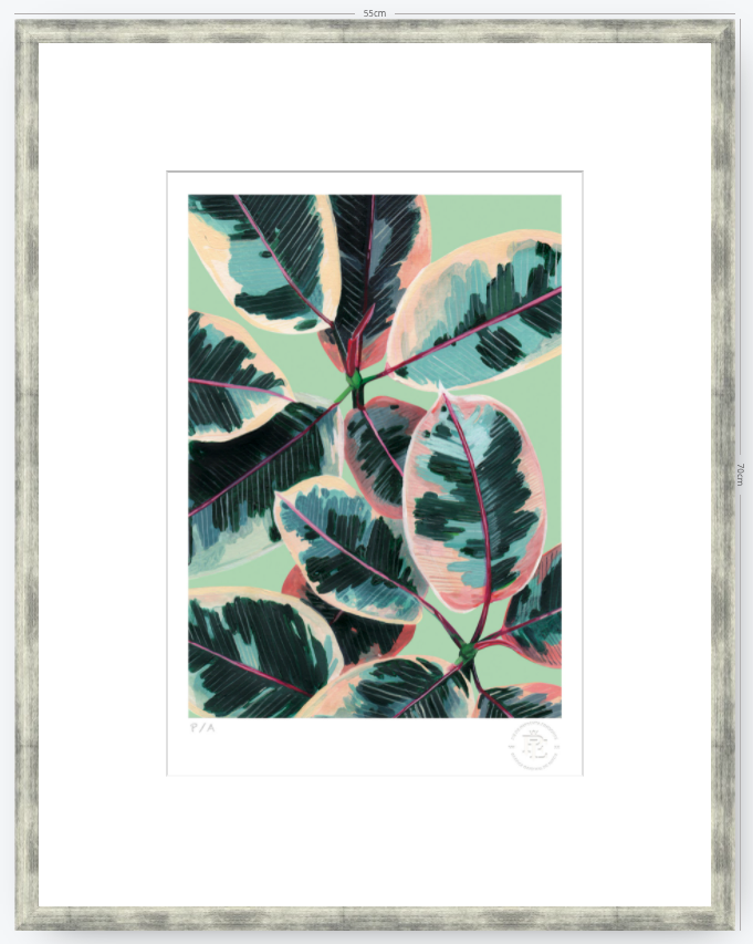 Gomero - 33 x 48 cm