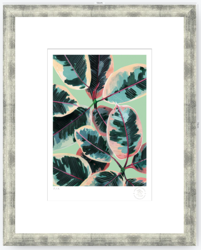 Gomero - 33 x 48 cm