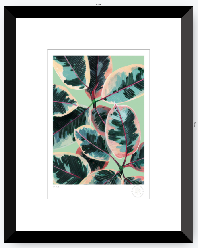 Gomero - 33 x 48 cm