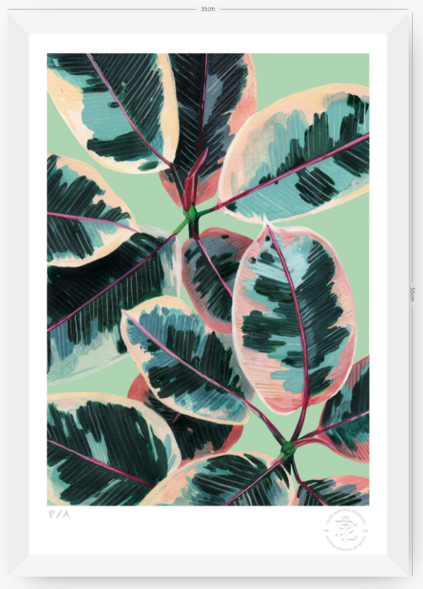 Gomero - 33 x 48 cm