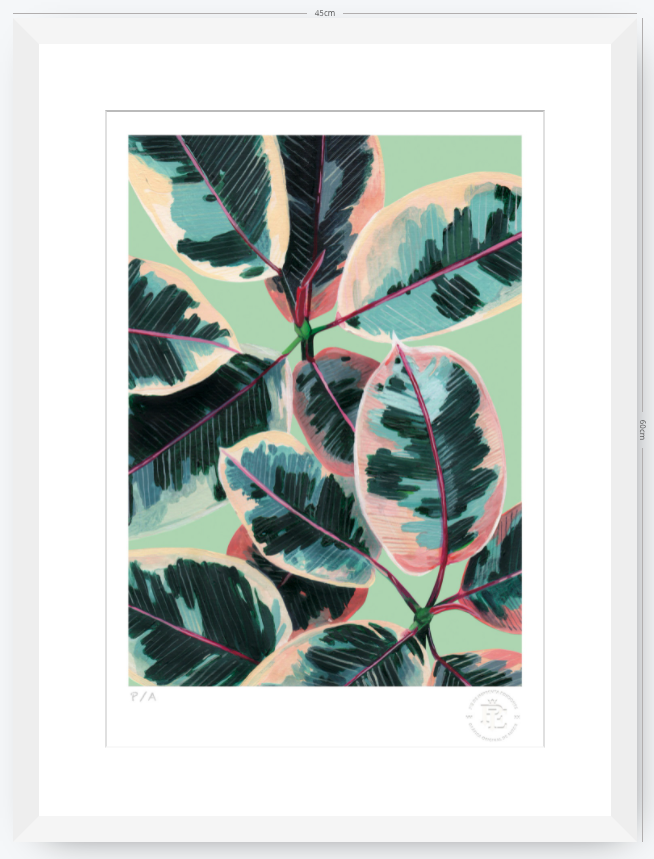 Gomero - 33 x 48 cm