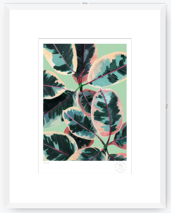 Gomero - 33 x 48 cm