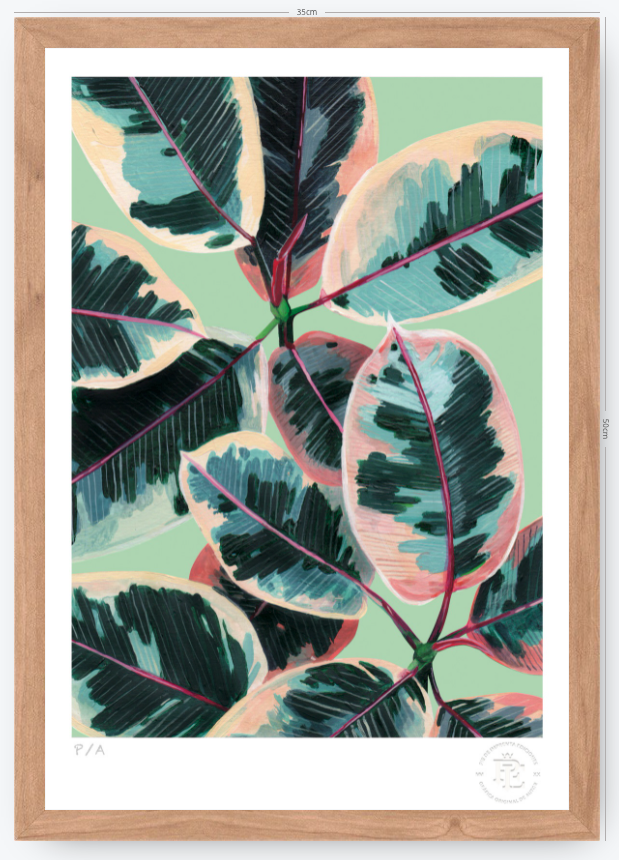 Gomero - 33 x 48 cm