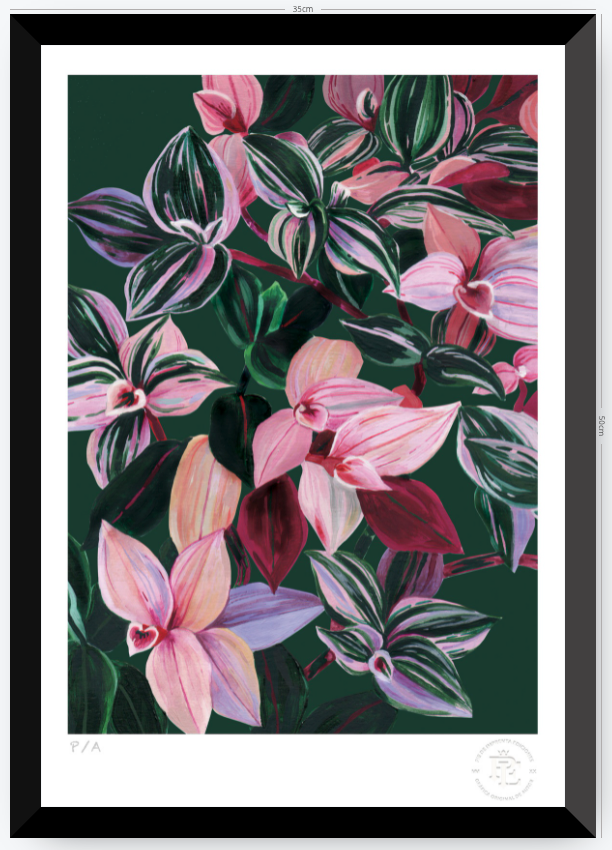Tradescantia - 33 x 48 cm