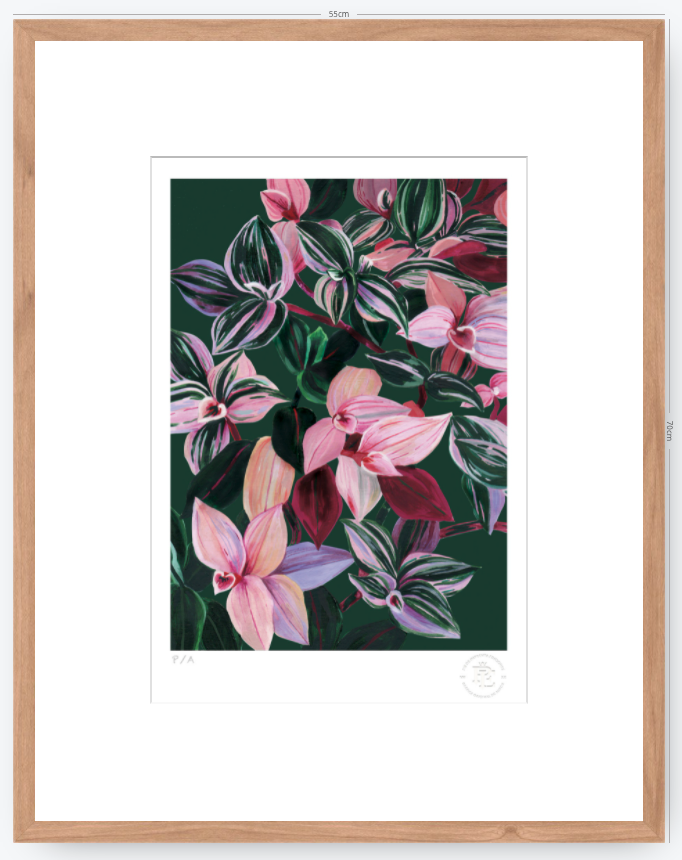 Tradescantia - 33 x 48 cm