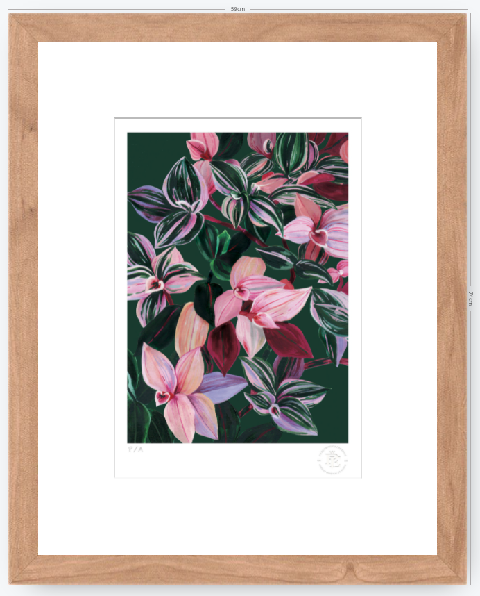 Tradescantia - 33 x 48 cm