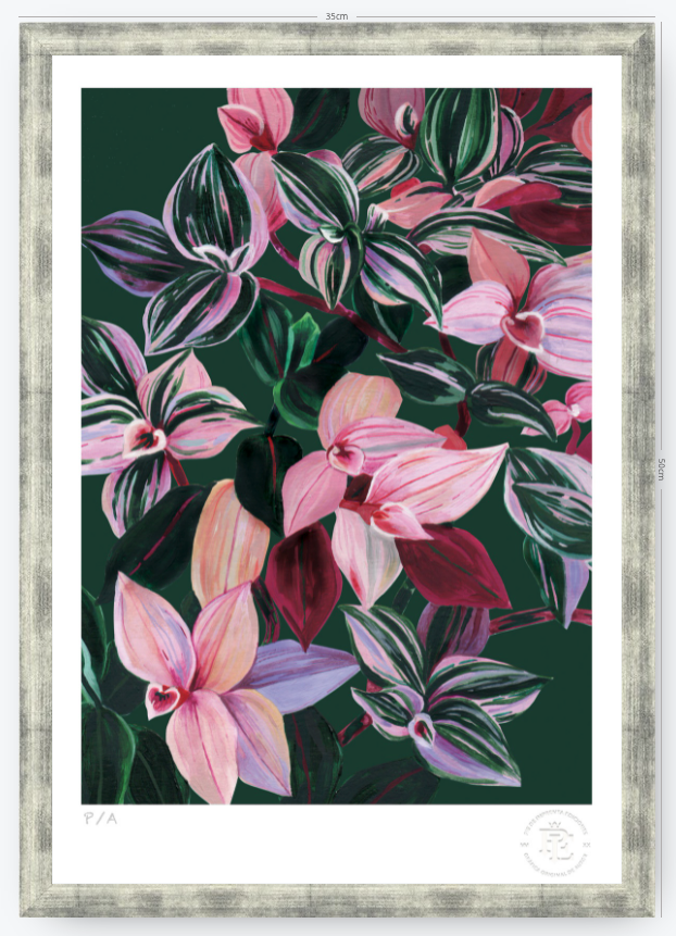 Tradescantia - 33 x 48 cm