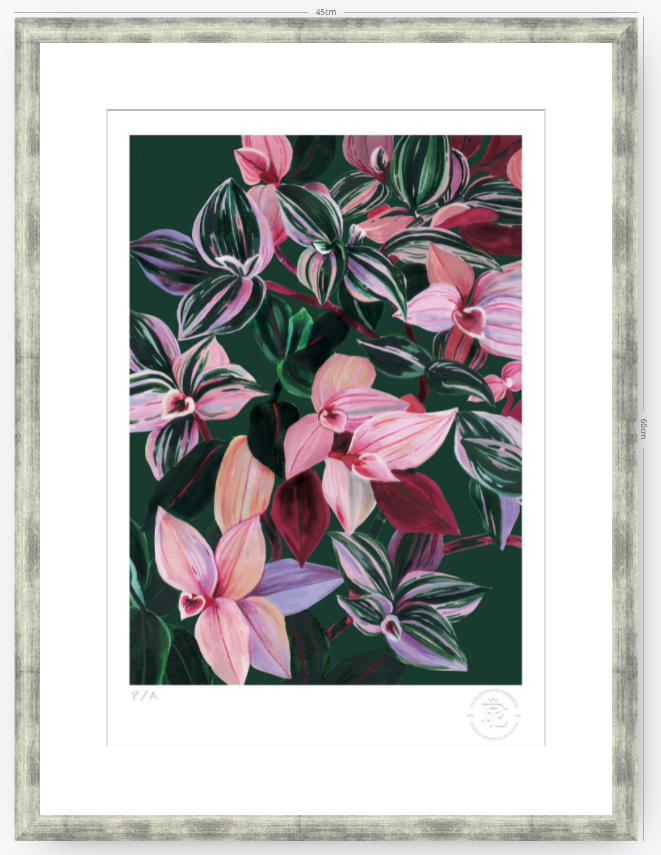Tradescantia - 33 x 48 cm