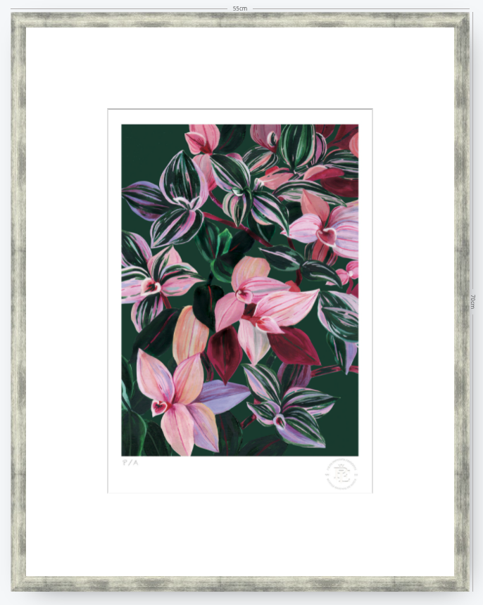 Tradescantia - 33 x 48 cm