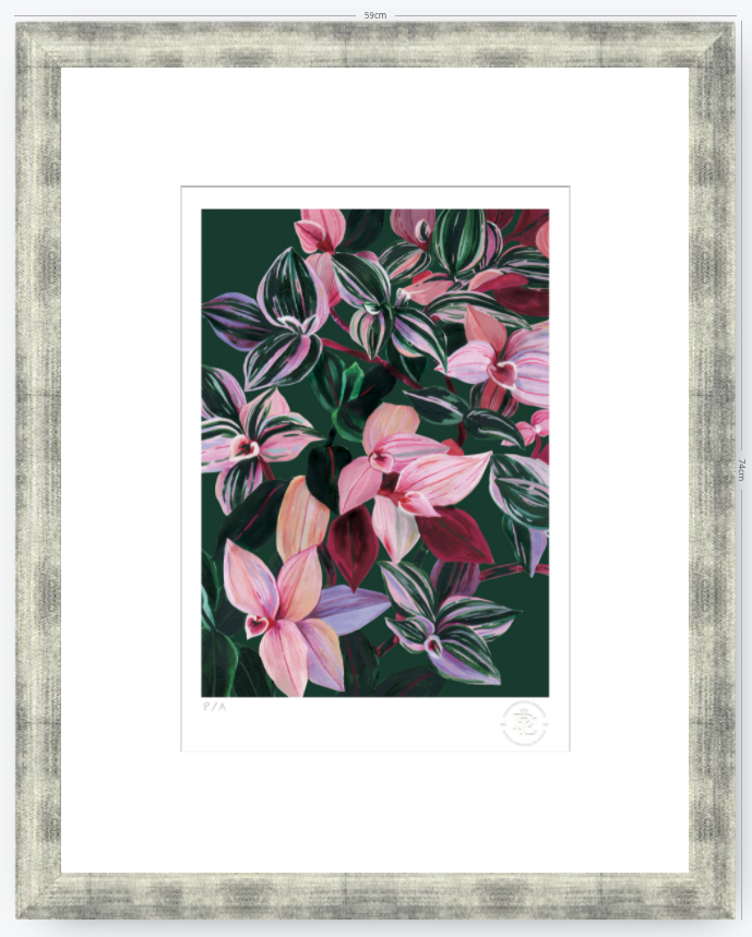 Tradescantia - 33 x 48 cm