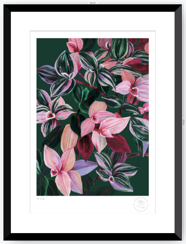 Tradescantia - 33 x 48 cm