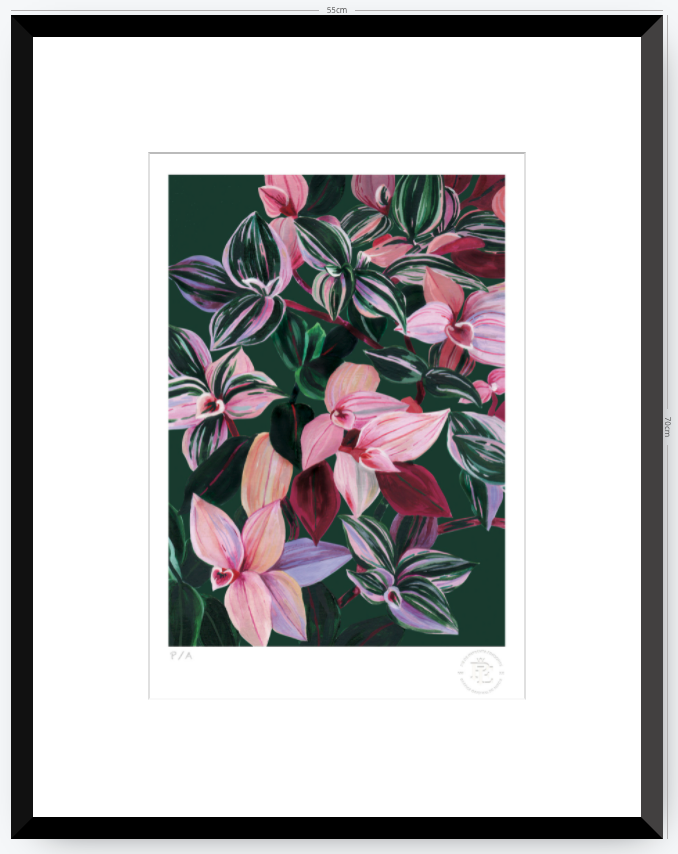 Tradescantia - 33 x 48 cm