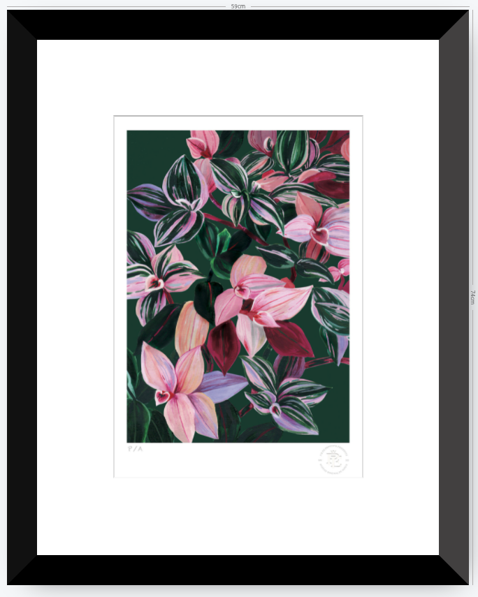 Tradescantia - 33 x 48 cm