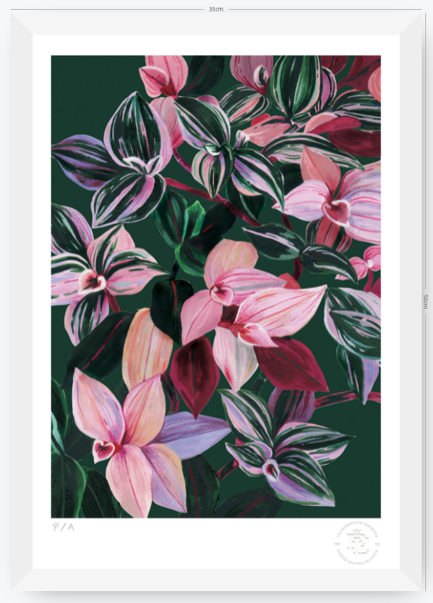 Tradescantia - 33 x 48 cm