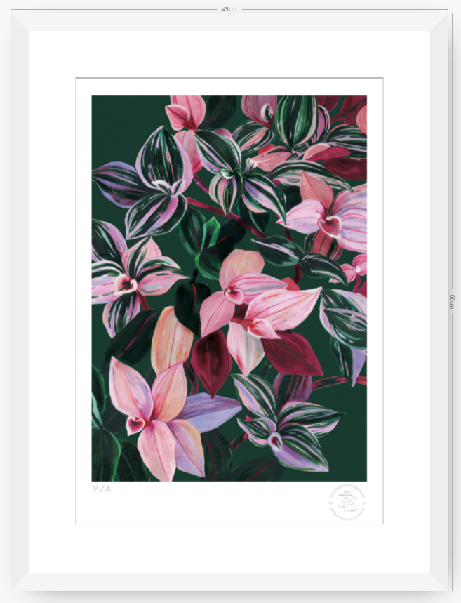 Tradescantia - 33 x 48 cm