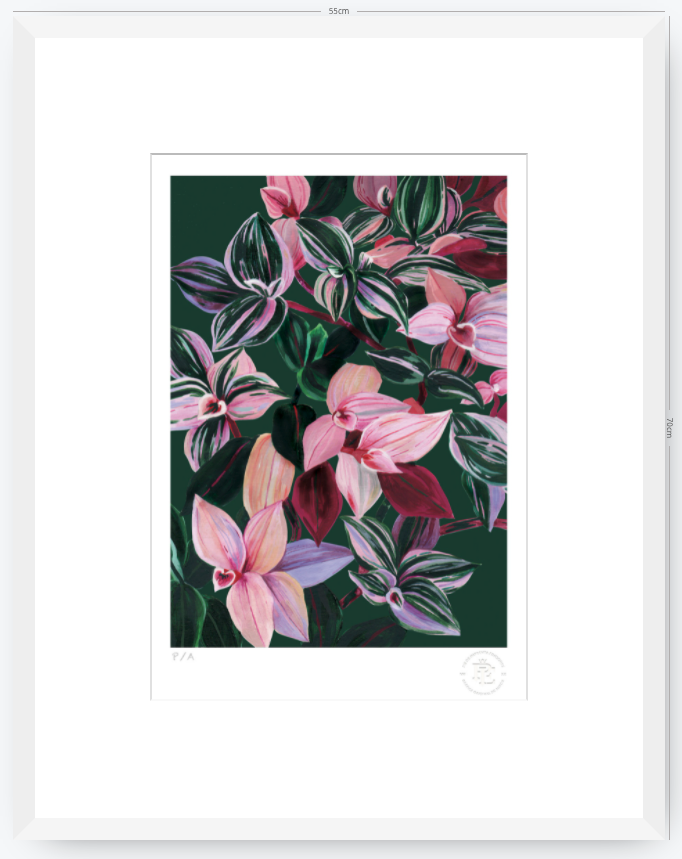 Tradescantia - 33 x 48 cm