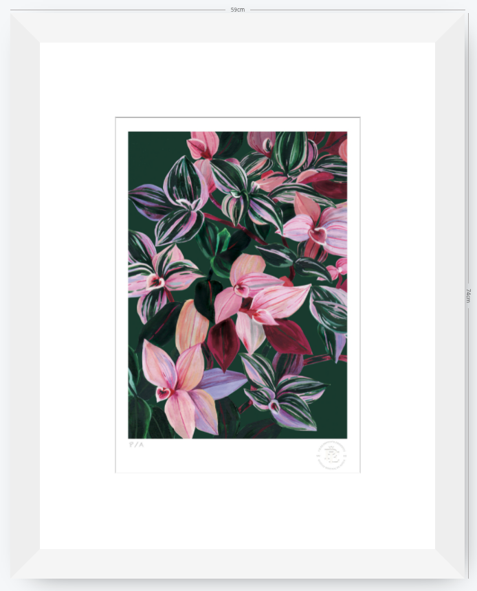Tradescantia - 33 x 48 cm