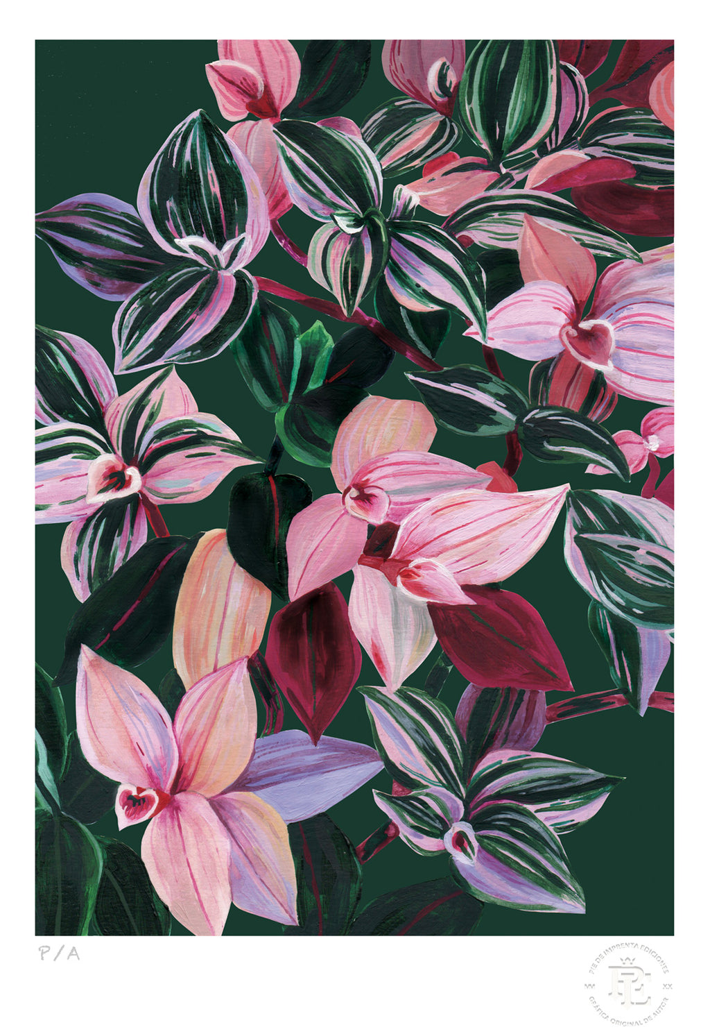 Tradescantia - 33 x 48 cm