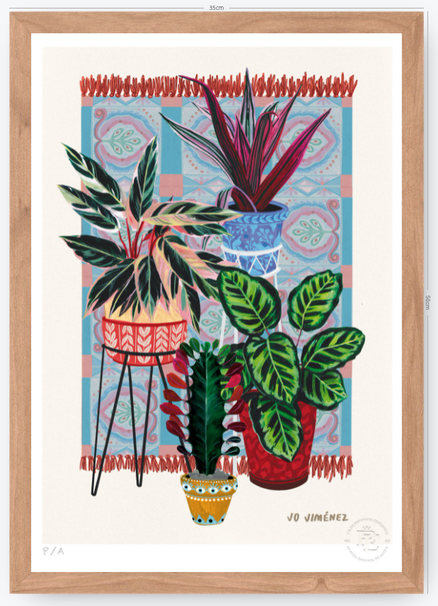 Mi Casa - 33 x 48 cm