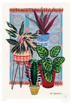 Mi Casa - 33 x 48 cm