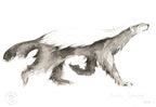 Honey Badger I - 48 x 33 cm