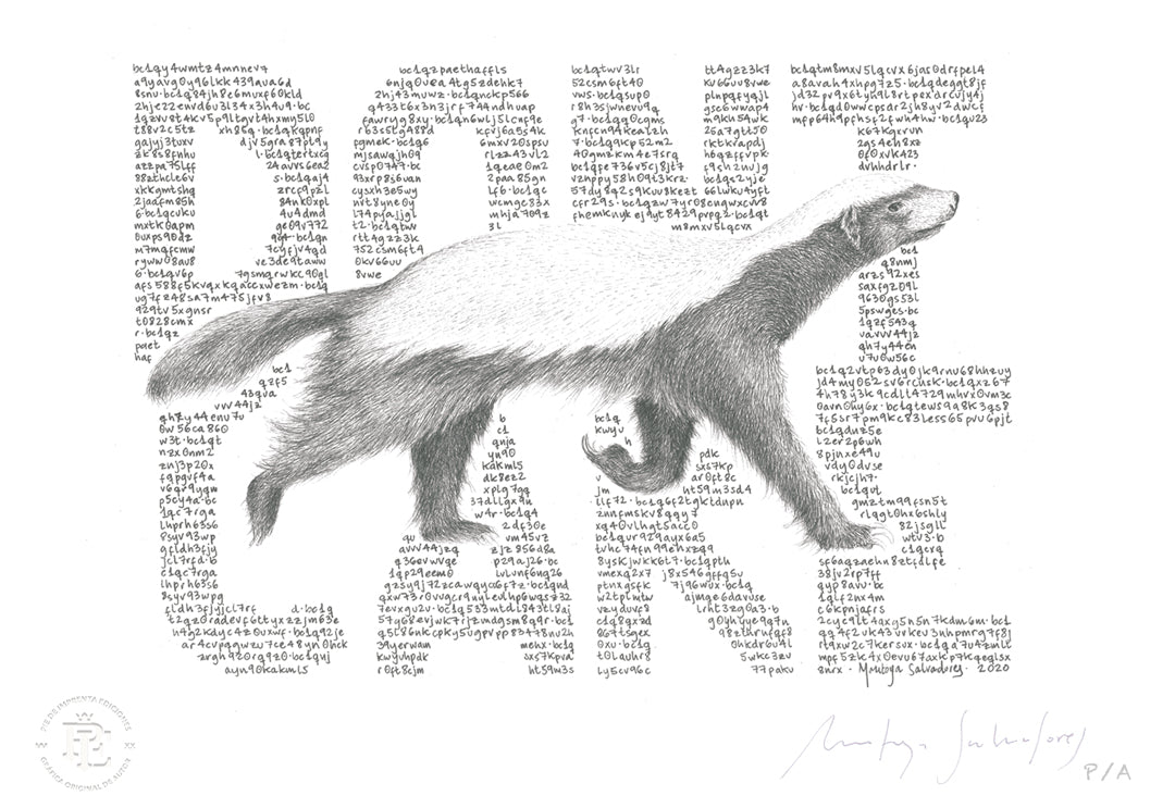 Honey Badger II - 48 x 33 cm