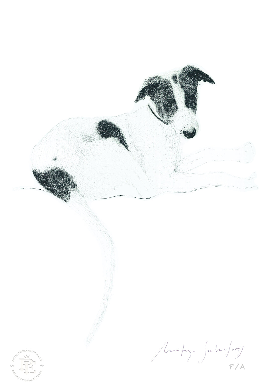 Fleck - 33 x 48 cm