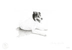 Lupita - 48 x 33 cm