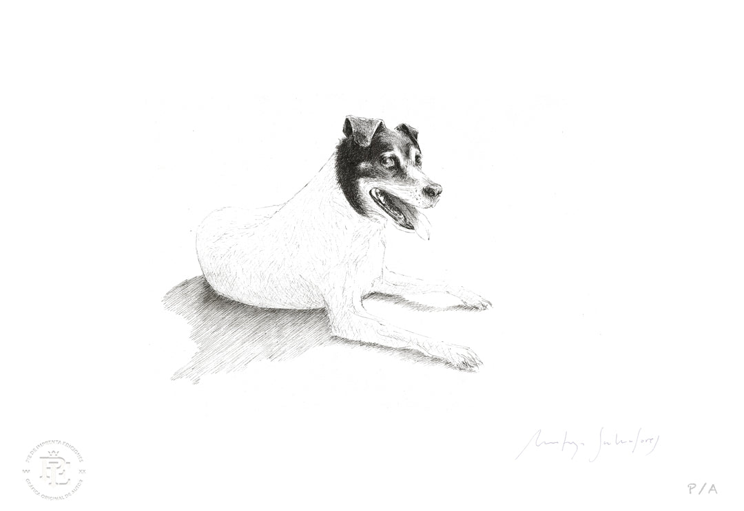Lupita - 48 x 33 cm