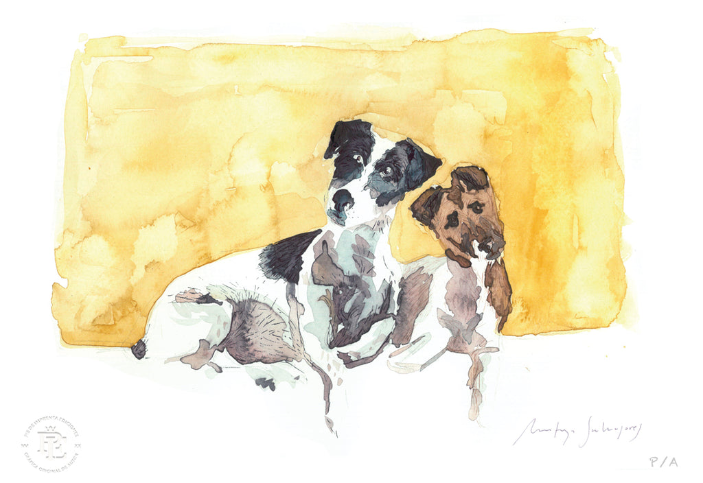 Perro IV - 48 x 33 cm