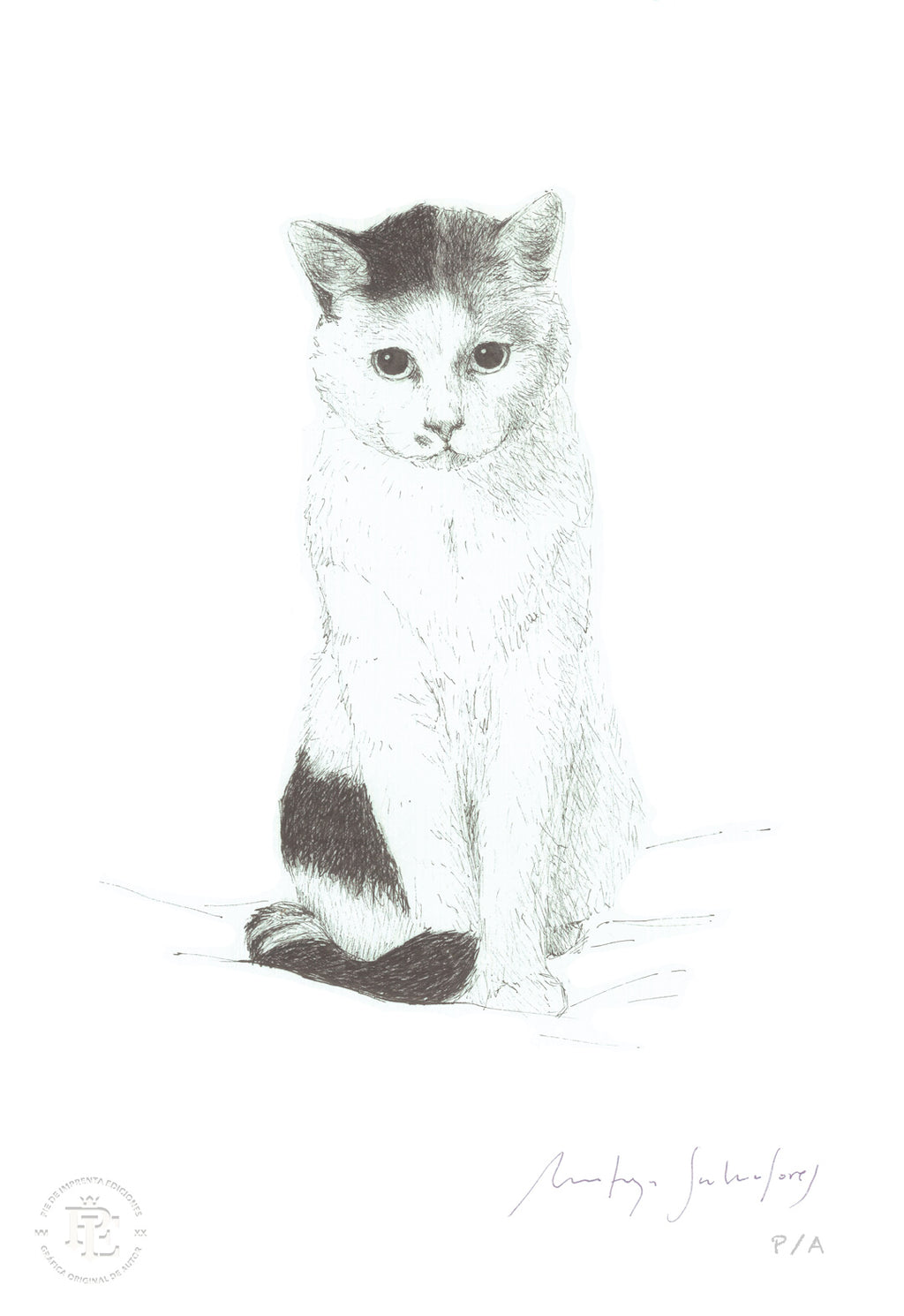 Wisi - 33 x 48 cm