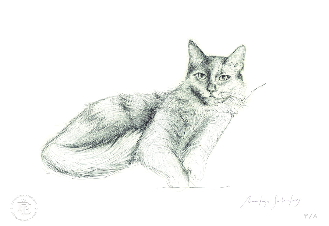 Lila - 48 x 33 cm