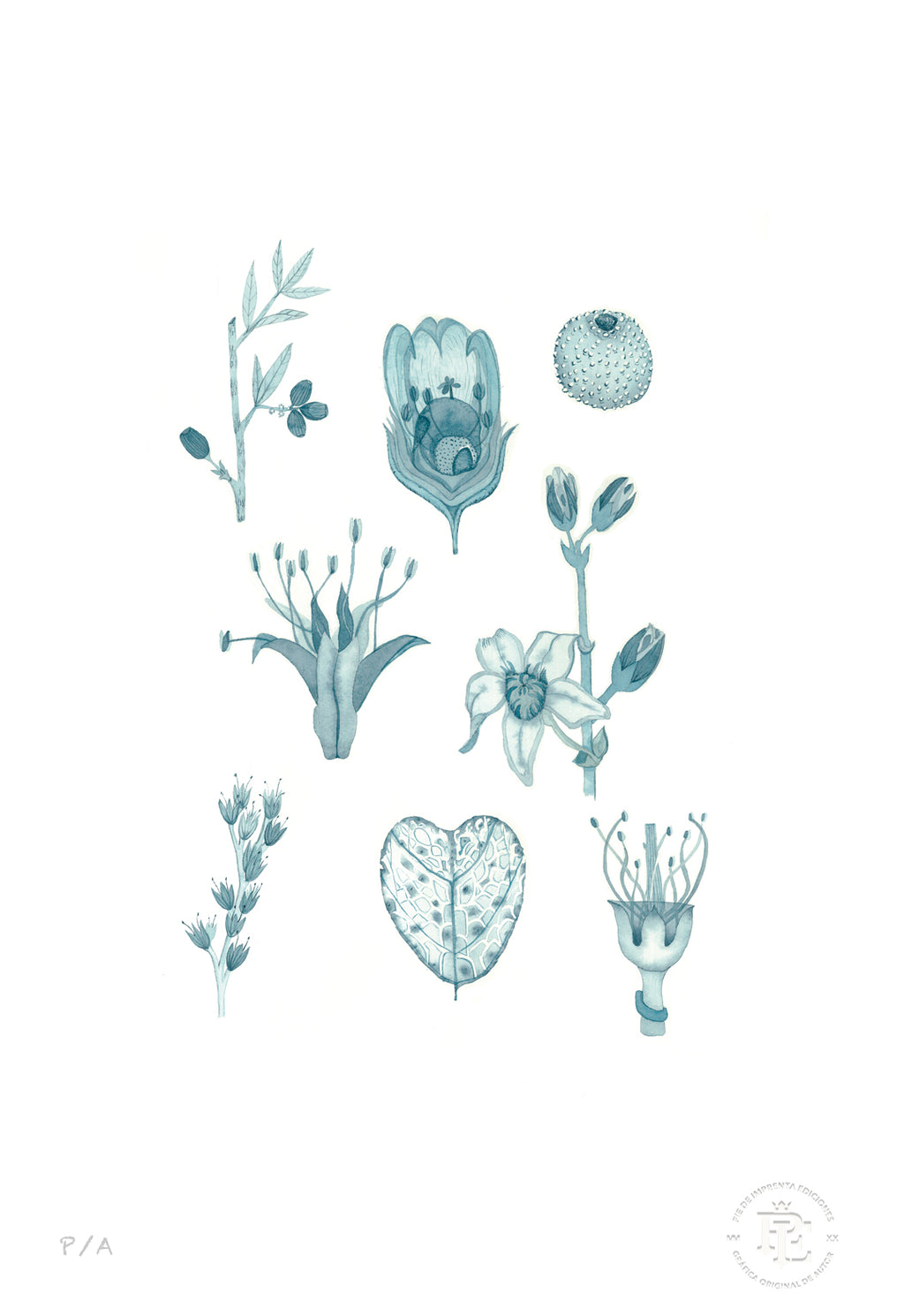 Flora Silvestre 2 - 33 x 48 cm