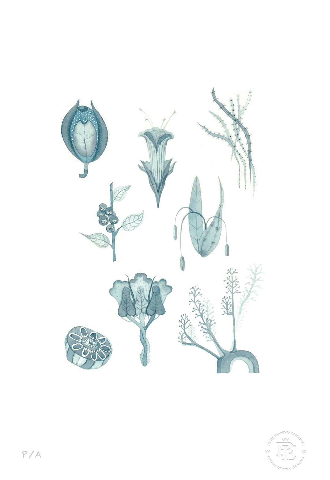 Flora Silvestre 3 - 33 x 48 cm
