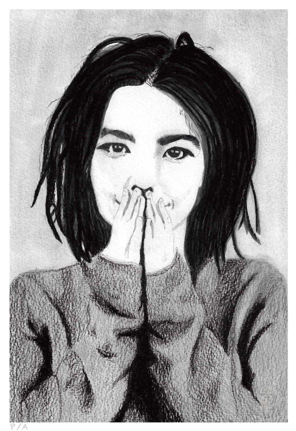 Bjork - 33 x 48 cm