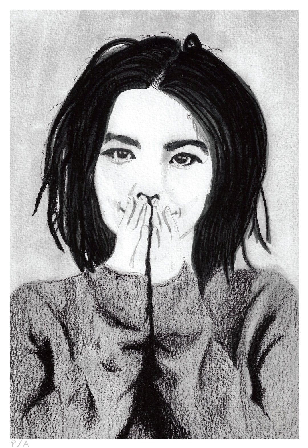 Bjork - 33 x 48 cm