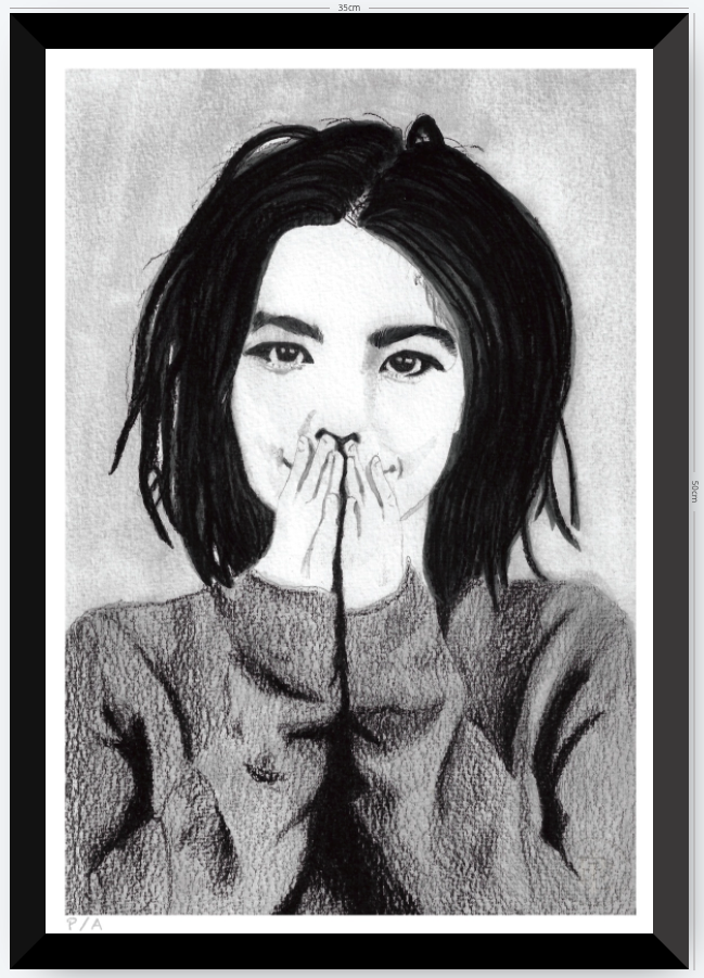 Bjork - 33 x 48 cm