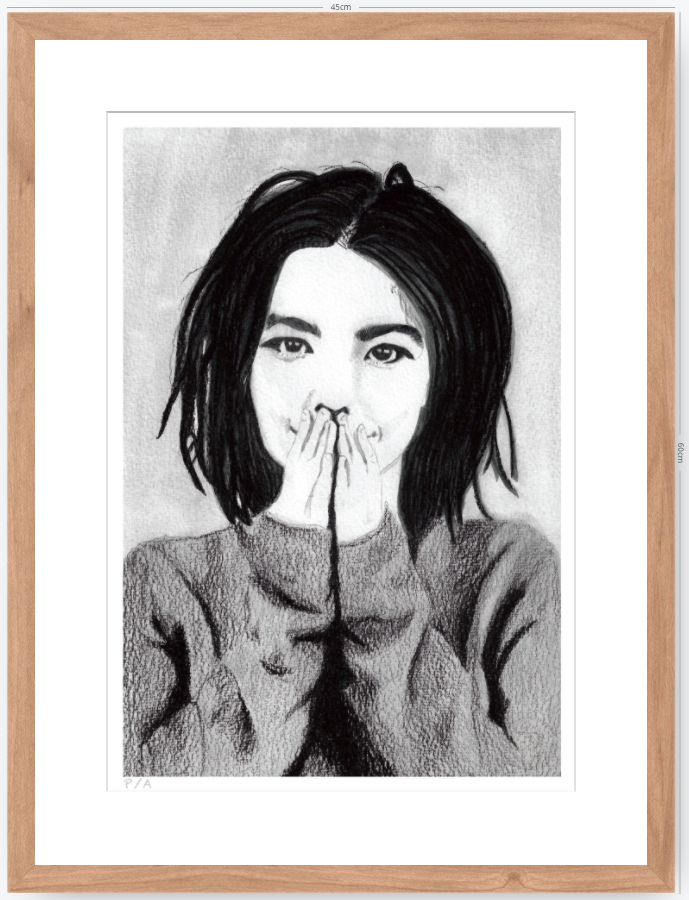 Bjork - 33 x 48 cm
