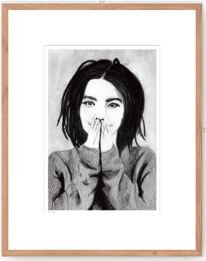 Bjork - 33 x 48 cm