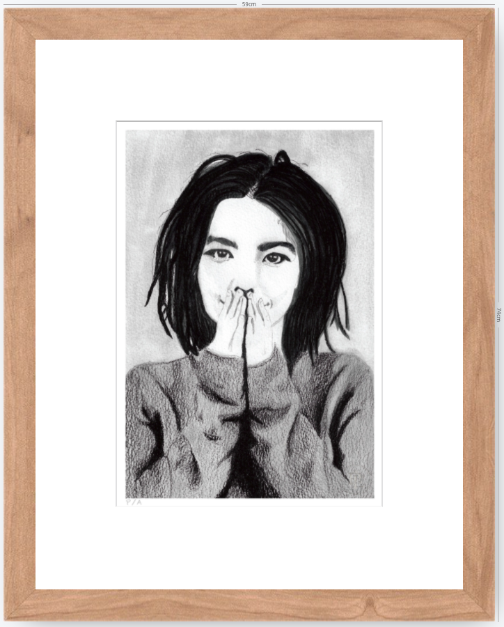 Bjork - 33 x 48 cm