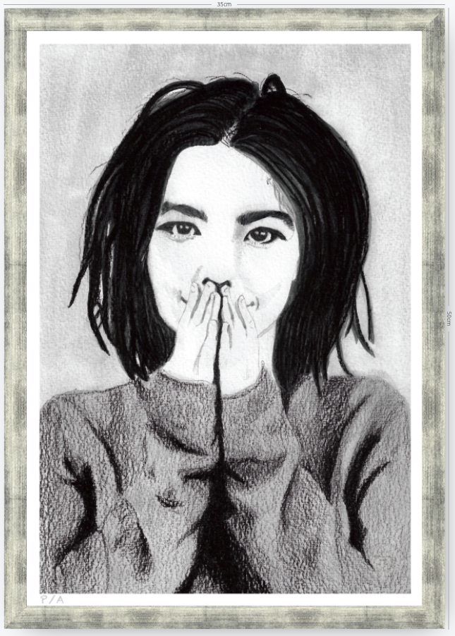 Bjork - 33 x 48 cm