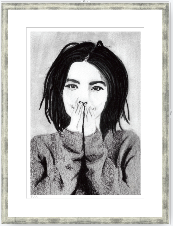 Bjork - 33 x 48 cm